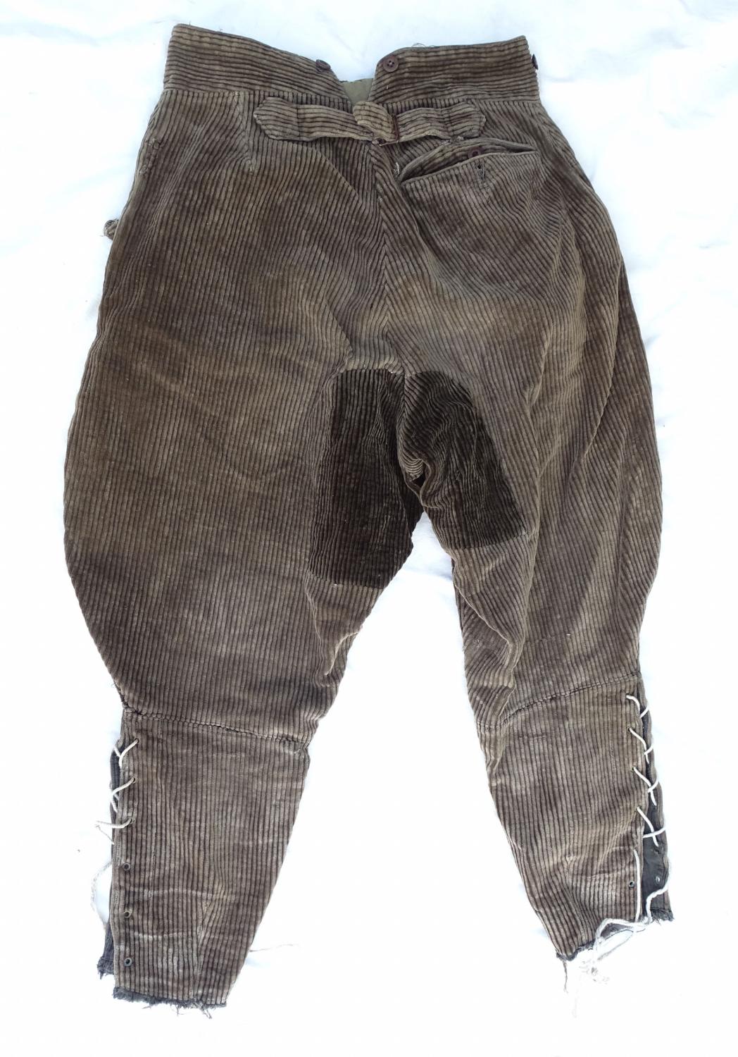 Pantalon-culotte en velours gris-brun.