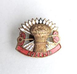 Distinctive insignia  4th Coast Artillery Regiment   NS Meyer Screw back