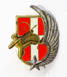 Insigne 1er R&eacute;giment d&#039;Infanterie  Compagnie d&#039;Appui