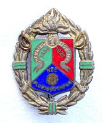 Insigne 1er R&eacute;giment Etranger de Cavalerie.  Drago Metra