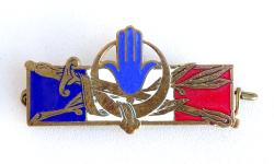 Badge Forces Fran&ccedil;aises en Afrique du Nord  Drago