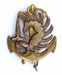Insigne de b&eacute;ret  Parachutistes des Troupes de Marine Drago G.1535