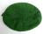 Green beret  Legion Etrangere. Special commando